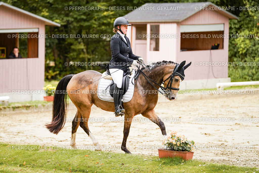 DSC02596 | Pferdegrafie