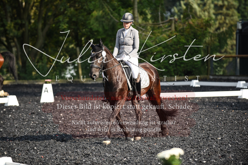 DSC_3314 | Pferde- und Turnierfotografie in Westsachsen. Pferdeportraits, Auftragszeichnungen und intuitive Kunst.