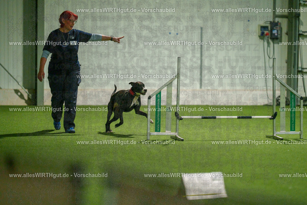 7R507406 | Professionelle Tierfotografie in Mönchengladbach von Daniel Wirth (allesWIRTHgut). Liebevolle & natürliche Bilder von Hunden & Katzen für unvergessliche Erinnerungen.