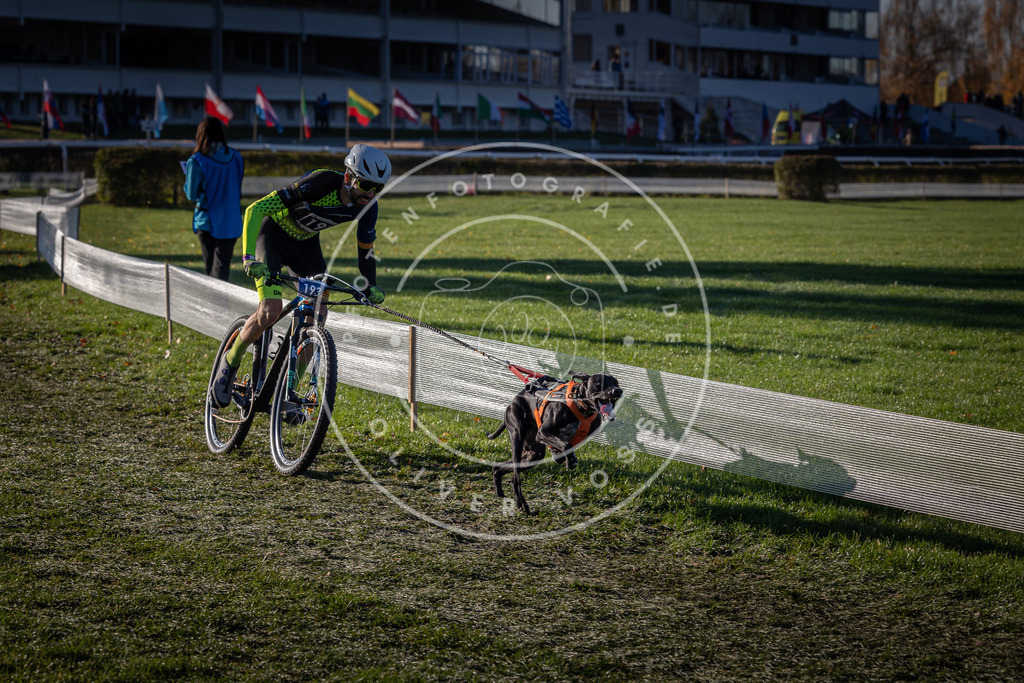 CaniXpix_0L8A4204 | Hundefotografie, Tierfotograf, Pfotenfotografie, Fotoshooting Hund, Hunde Portrait, Hundesport, Hundeportraits, Heideshooting, Hunde, Sportfotograf, Hundefotograf, Turnierhundsport, THS,  - Realisiert mit Pictrs.com