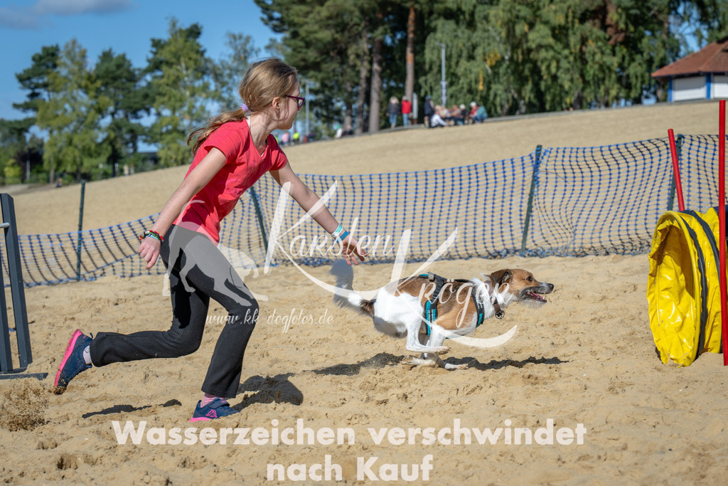 1226_ZZ93104-2 | kk-dogfotos