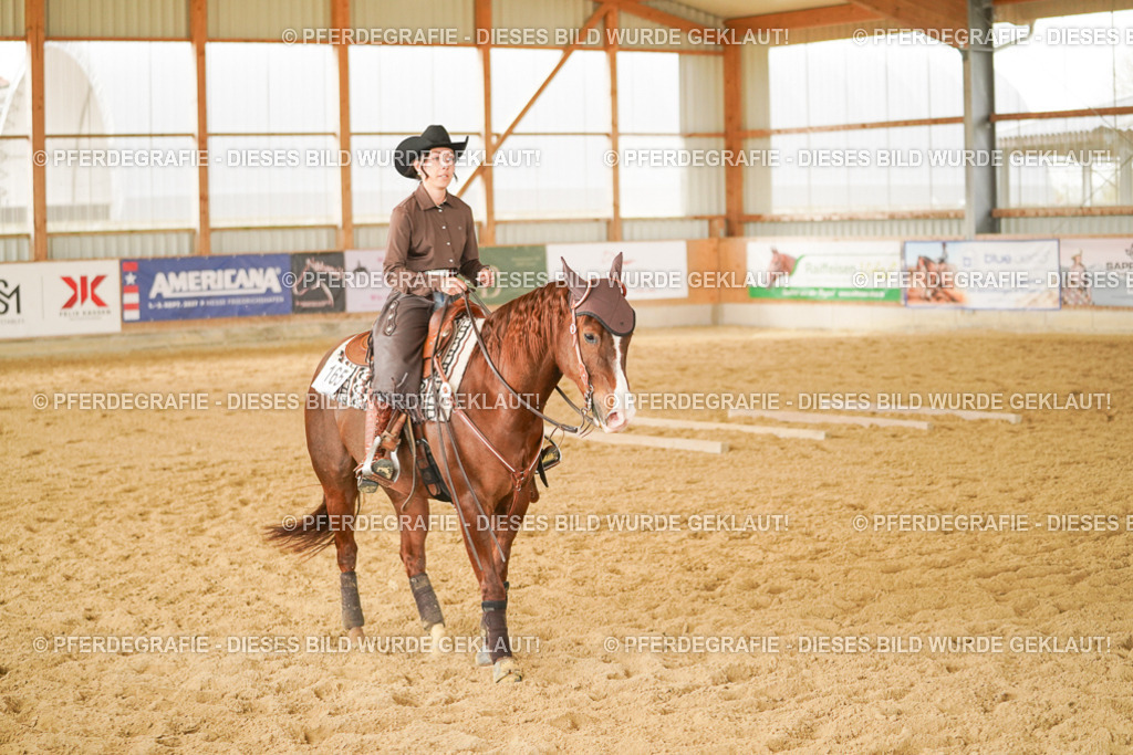 DSC04820 | Pferdegrafie