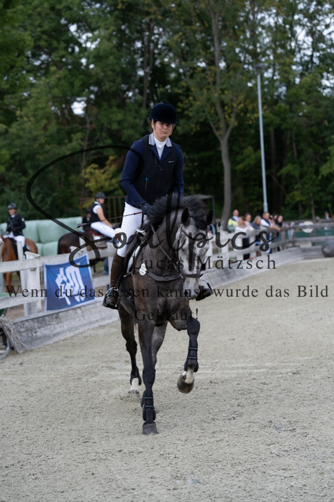 A7V07281 | Turnier/Reitfotograf
