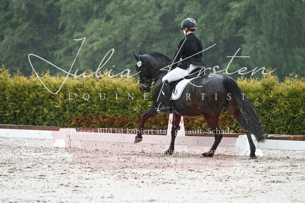 DSC_4673 | Pferde- und Turnierfotografie in Westsachsen. Pferdeportraits, Auftragszeichnungen und intuitive Kunst.