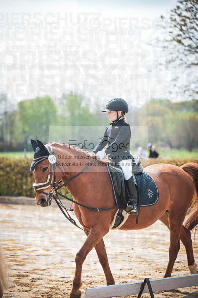 DOS_5046 | Entdecke hochwertige Reitturnierfotos von Foto Oger. Professionell, emotional und authentisch – jetzt Lieblingsmomente im Shop bestellen.Deutschlandweite Turnierfotografie. - Realisiert mit Pictrs.com