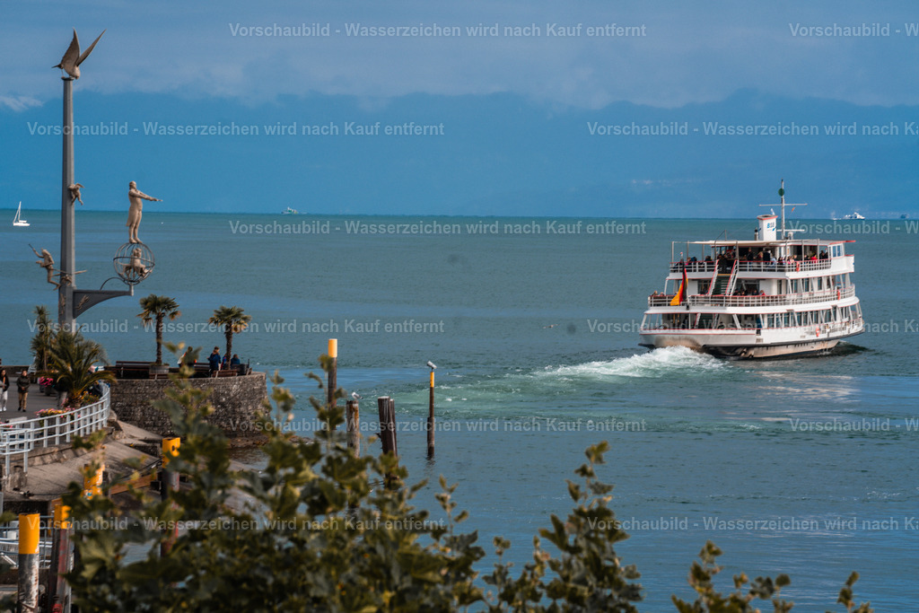 DSC00019-2 | marcuslinek