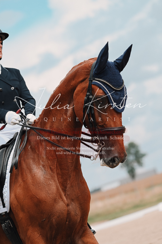 DSC_4223 | Pferde- und Turnierfotografie in Westsachsen. Pferdeportraits, Auftragszeichnungen und intuitive Kunst.