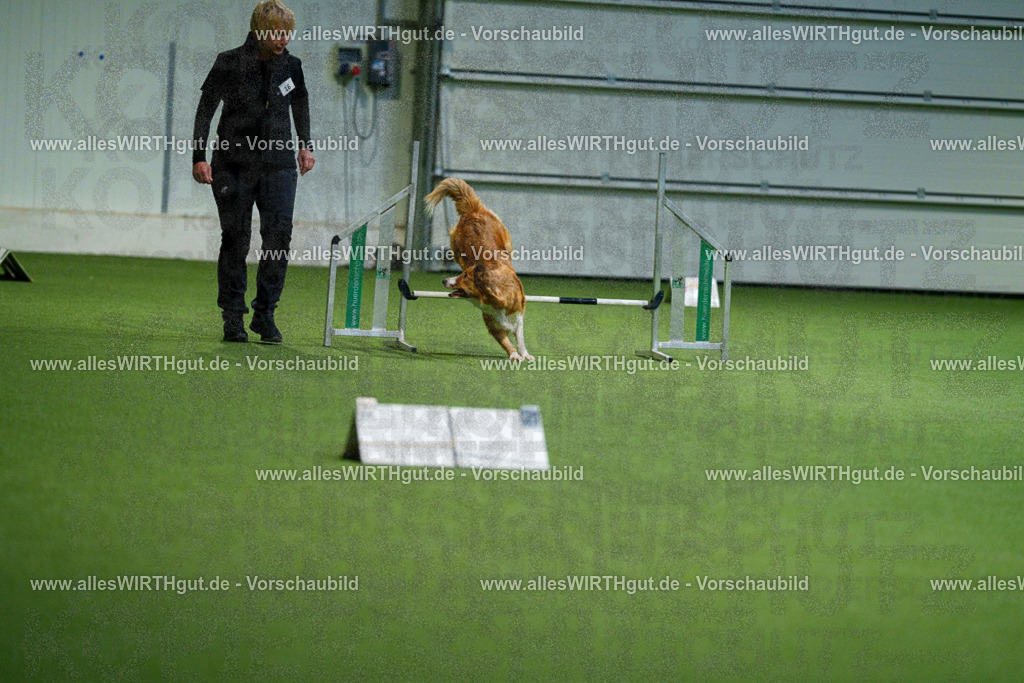 7R505494 | Professionelle Tierfotografie in Mönchengladbach von Daniel Wirth (allesWIRTHgut). Liebevolle & natürliche Bilder von Hunden & Katzen für unvergessliche Erinnerungen.