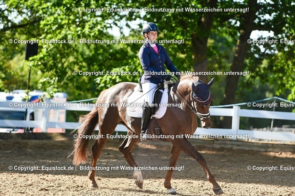 20230715_06_Dressurpferdeprfg. Kl.A_0132 | equistock