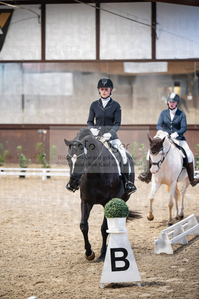 Hallenreittunier Voxtrup 2023 | Entdecke hochwertige Reitturnierfotos von Foto Oger. Professionell, emotional und authentisch – jetzt Lieblingsmomente im Shop bestellen. - Realisiert mit Pictrs.com
