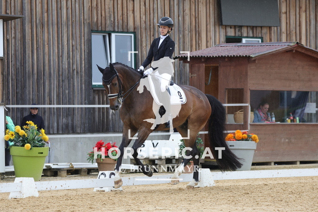 0P6A1020 | Willkommen bei Brunnmayr - Design & Fotografie – Ihrem Spezialisten für Reitturniere und Pferdeveranstaltungen in Oberösterreich, Salzburg und Bayern! Seit über 17 Jahren sind wir leidenschaftlich dabei.
