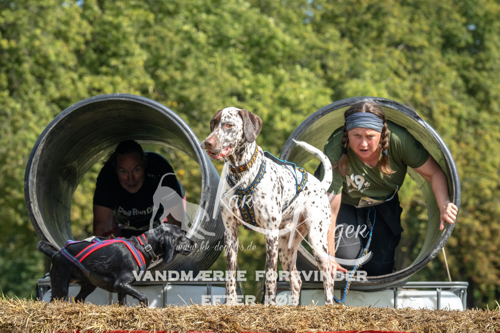 1310_ZZ92456 | kk-dogfotos