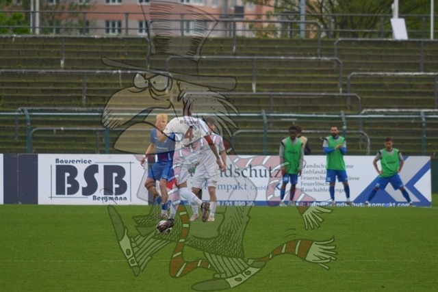 BFC Dynamo vs. VSG Altglienicke 117 | mythos-online-redaktion