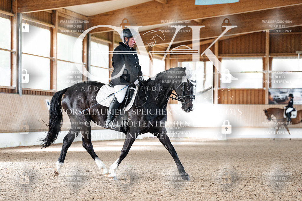 CK909125 | Turnierfotografie Pferdefotografie Trier Rheinland-Pfalz Pferdesport Reitsport Tierfotografie Sportfotografie Pferdevideo Pferdevideografie Equestrianvideography equestrianphotography  - Realisiert mit Pictrs.com