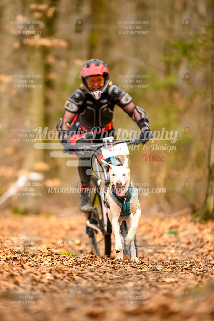 MompixPhotography_Habay2025_SA_Bike-159 | PayLife