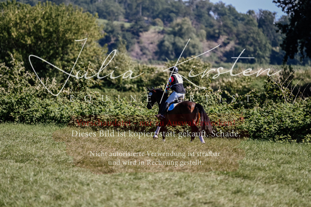 DSC_1541 | Pferde- und Turnierfotografie in Westsachsen. Pferdeportraits, Auftragszeichnungen und intuitive Kunst.