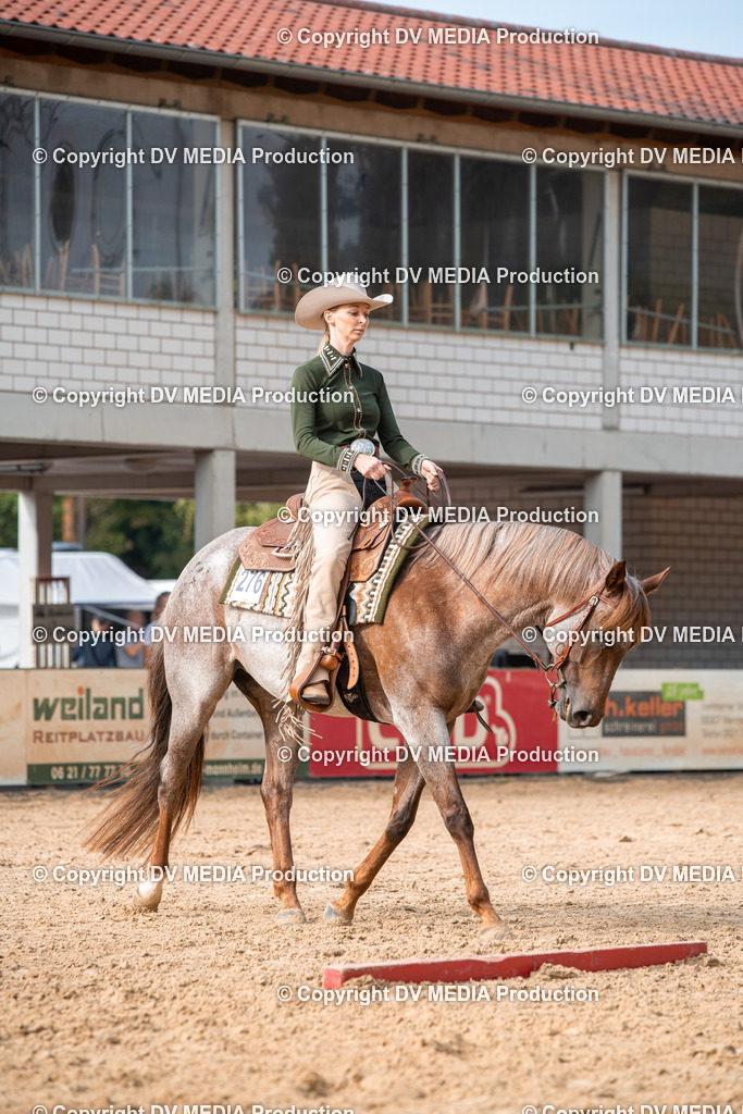 EWP_5727 | dv-media-shop - Realisiert mit Pictrs.com