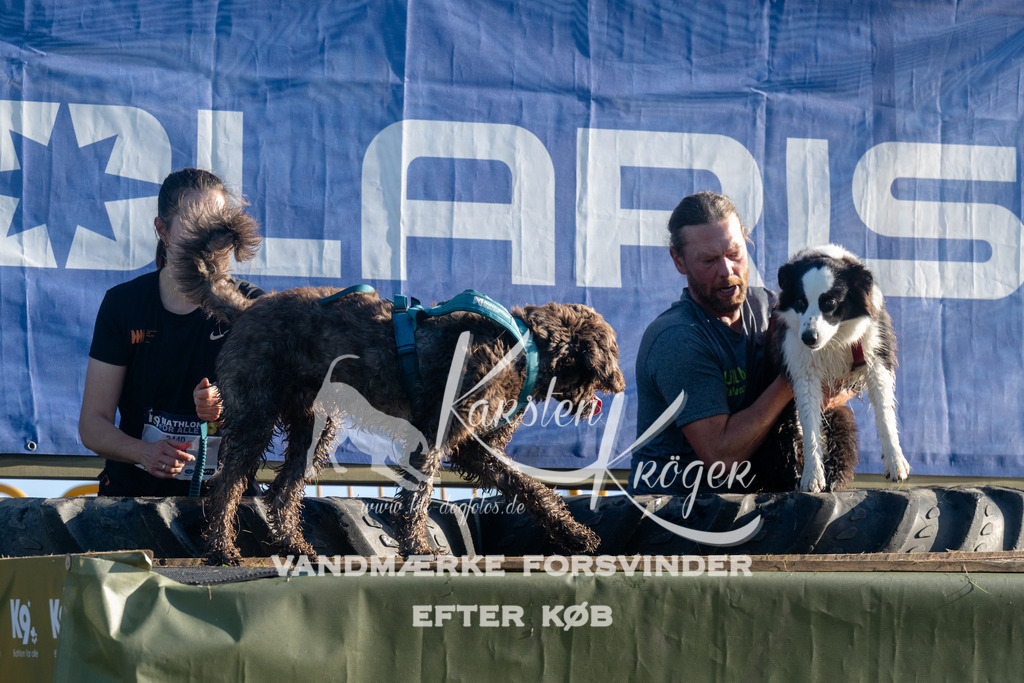 0824_ZZ93608 | kk-dogfotos