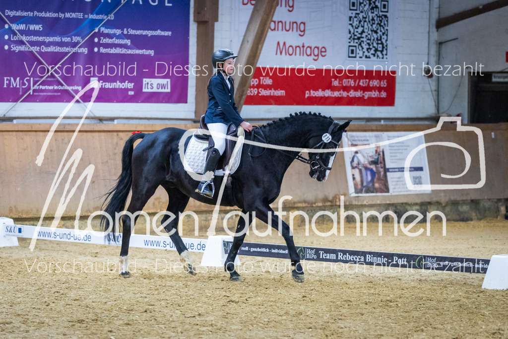 Sth-WBO25-EDr-076 | MomenTaufnahmen Pferdesportfotos