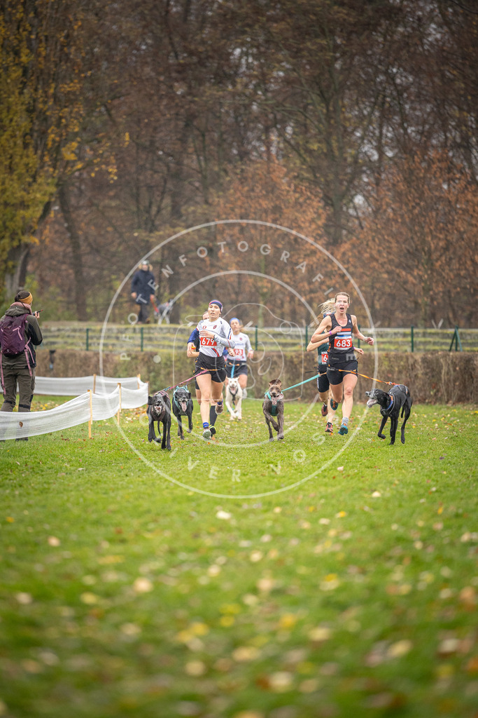 CaniXpix_DV3A8971 | Hundefotografie, Tierfotograf, Pfotenfotografie, Fotoshooting Hund, Hunde Portrait, Hundesport, Hundeportraits, Heideshooting, Hunde, Sportfotograf, Hundefotograf, Turnierhundsport, THS,  - Realisiert mit Pictrs.com