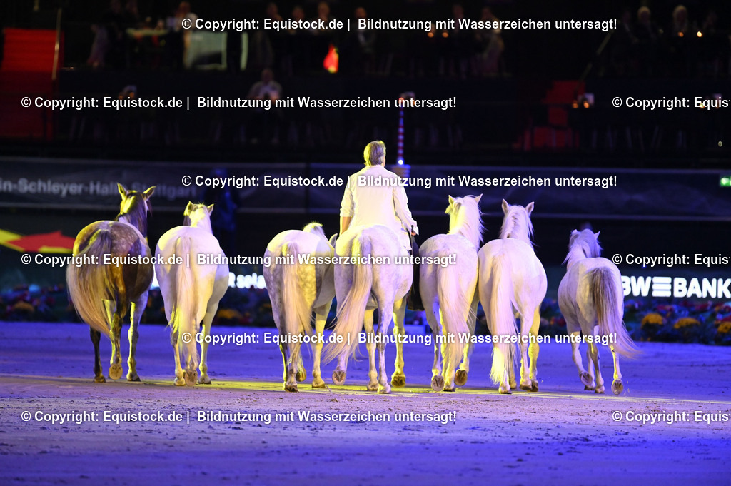 20231115_Show-Jean-Francois-Pignon_0036_TOMsPiC | Foto: Thomas Hartig