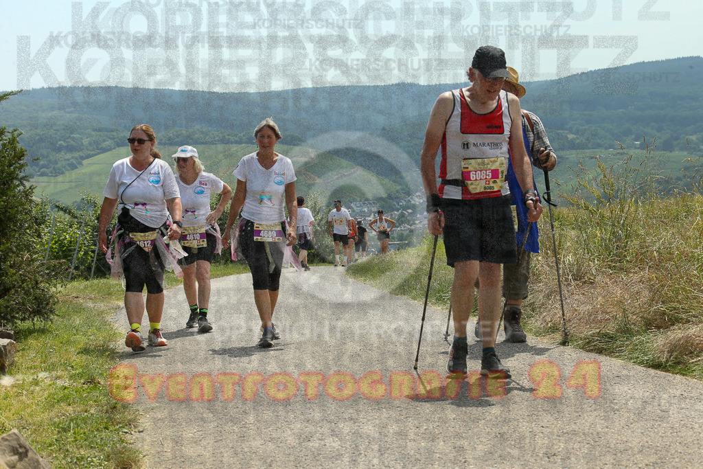 250614_1331_EX1_8963 | Sportfotografie im Rhein-Sieg Kreis, Köln, Bonn, NRW, Rheinland Pfalz, Hessen, etc. Unser Tätigkeitsfeld umfasst den Laufsport vom Volkslauf über den Marathon, Duathlon, Triathon bis zum Ultralauf wie Kölnpfad Ultra oder Schindertrail.