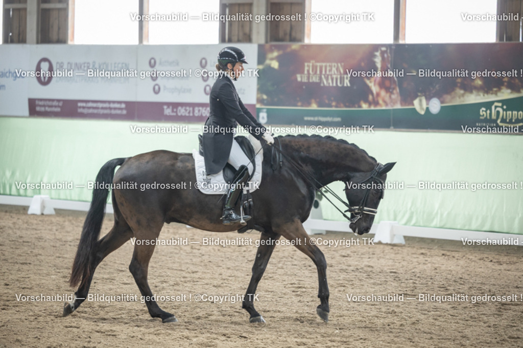 _D5A5377 | Emotionale Pferde- & People-Fotografie rund um Heidelberg, Leimen & Umgebung. Natürliche Fotos von Pferd, Mensch & Familie. Jetzt Termin sichern!