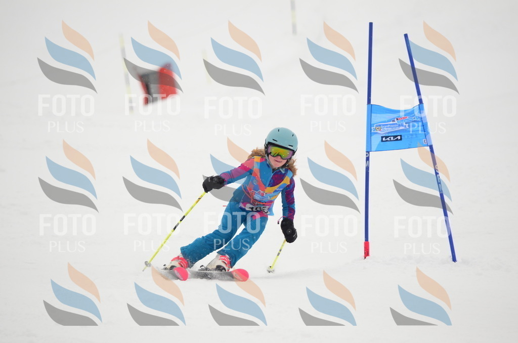 C1415 | holidayphoto