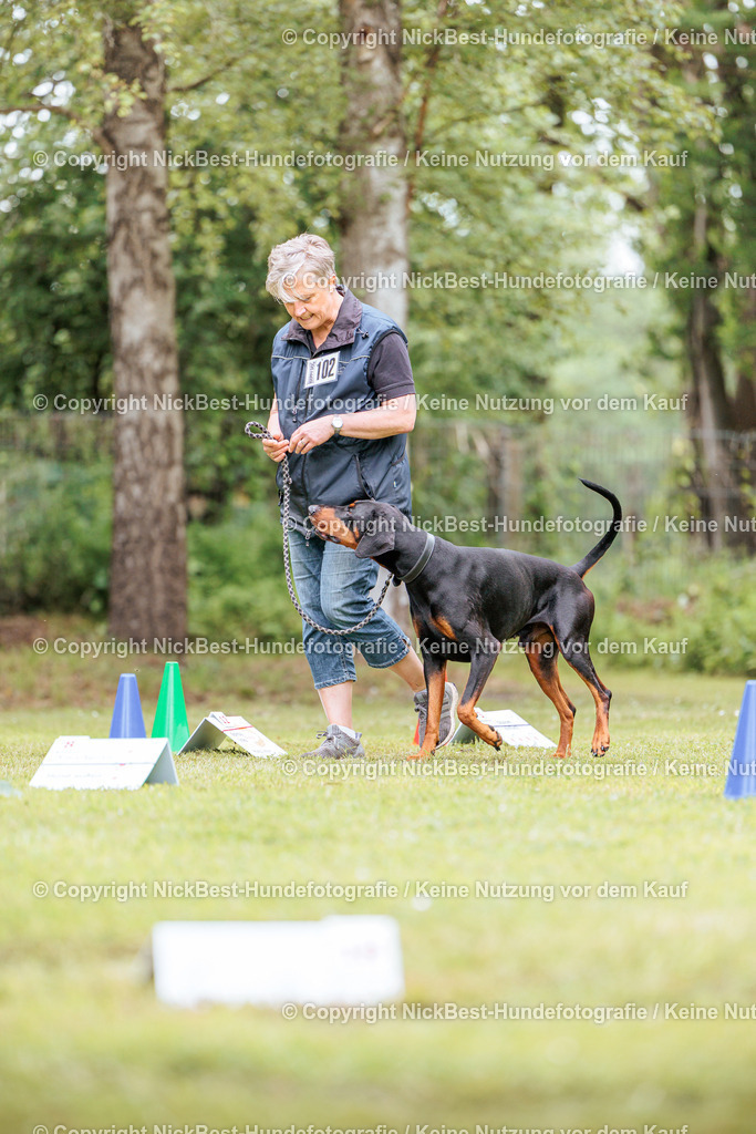 RO-Blumenthal-2026-Nickbest-Hundefotografie-5227 | Dein Hund! Dein Moment! Deine Erinnerungen! Hundefotografie in Bremen Blumenthal. Ich fange die besonderen Momente deines Vierbeiners ein – ob Indoor mit Blitzanlage oder in der freien Natur. Sicher dir dein Moment und dein Termin für eure Erinnerungen.