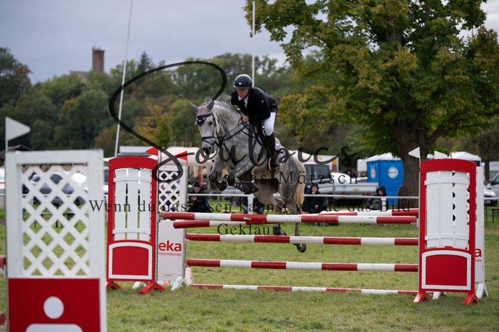 A7V07264 | Pferdefotograf