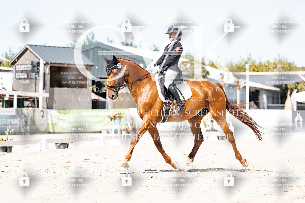 CK909475 | Turnierfotografie Pferdefotografie Trier Rheinland-Pfalz Pferdesport Reitsport Tierfotografie Sportfotografie Pferdevideo Pferdevideografie Equestrianvideography equestrianphotography  - Realisiert mit Pictrs.com