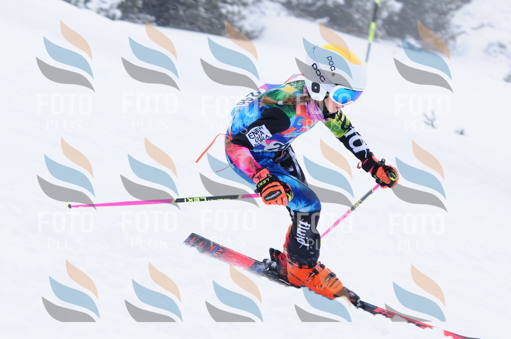 C2584 | holidayphoto