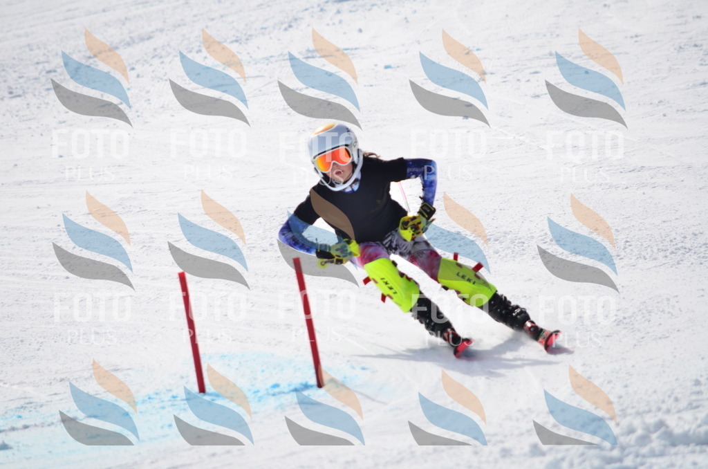 C9989 | holidayphoto