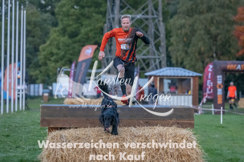 0800_ZZ93772-Bearbeitet | kk-dogfotos
