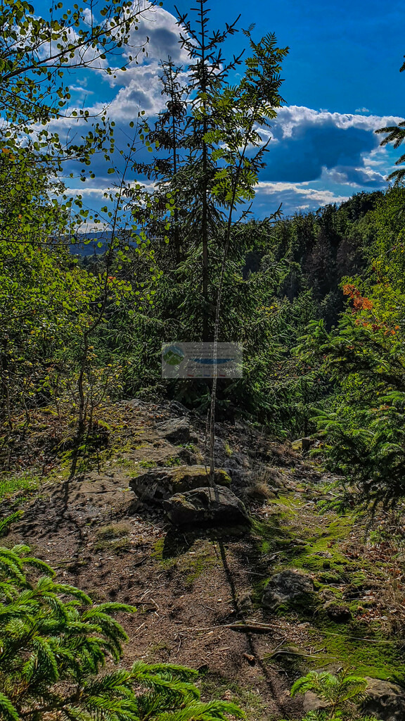 Höllental Sommer | Impressionen rund um Hochfranken - Frankenwald - Fichtelgebirge - Realisiert mit Pictrs.com