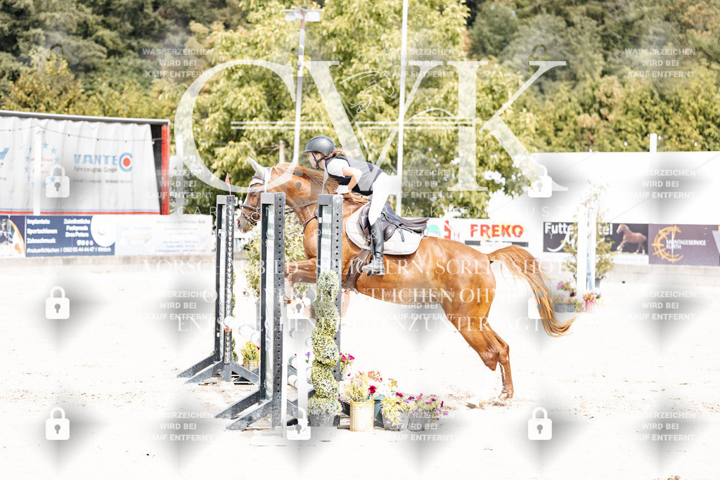 CK906545 | Turnierfotografie Pferdefotografie Trier Rheinland-Pfalz Pferdesport Reitsport Tierfotografie Sportfotografie Pferdevideo Pferdevideografie Equestrianvideography equestrianphotography  - Realisiert mit Pictrs.com