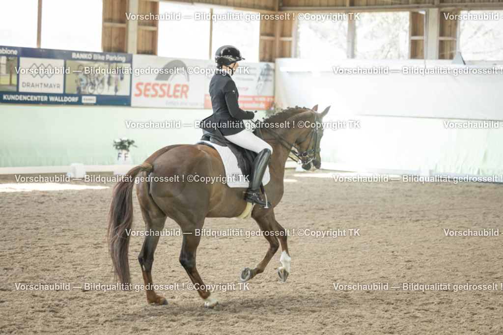 _D5A1223 | Emotionale Pferde- & People-Fotografie rund um Heidelberg, Leimen & Umgebung. Natürliche Fotos von Pferd, Mensch & Familie. Jetzt Termin sichern!