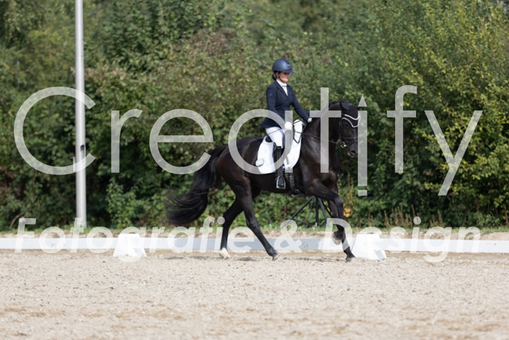 IMG_4168 | Creatify Fotografie