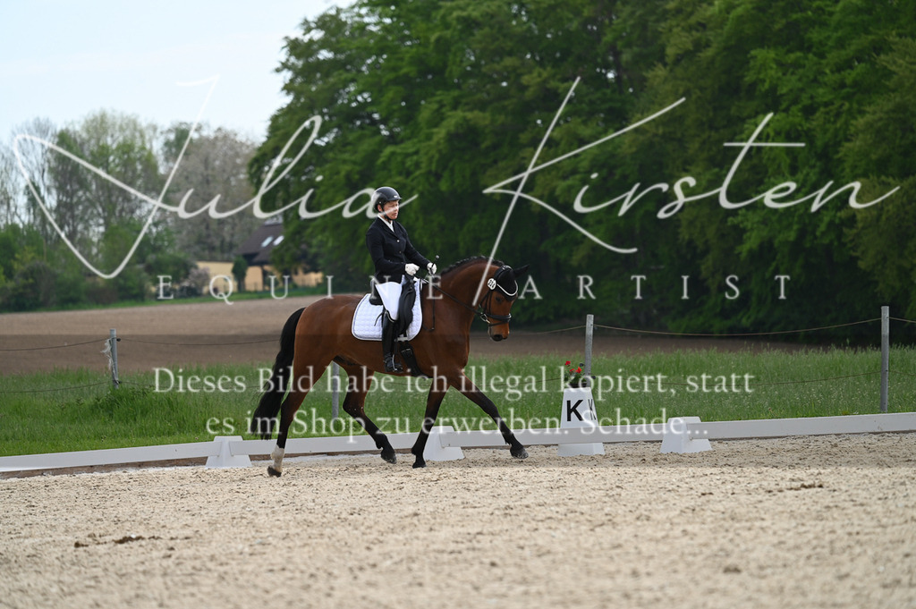 20230512_JK-Röhrsdorf-02-276 | Pferde- und Turnierfotografie in Westsachsen. Pferdeportraits, Auftragszeichnungen und intuitive Kunst.