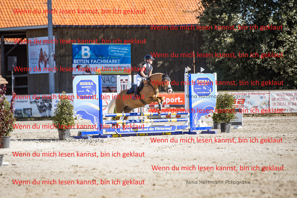 BK1A8060 | Turnierbilder Turnierfotos Nina Hüffmann Turnierfotografie Pferdefotografie Tierzeichnung Haustierzeichnung Pferdezeichnung Hundezeichnung Videograf  - Realisiert mit Pictrs.com
