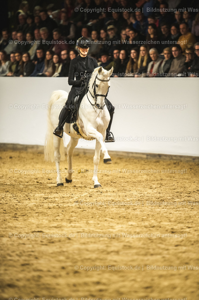 20240302_Hengstvorstellung_Marbach_TOMsPiC_1117-2 | equistock
