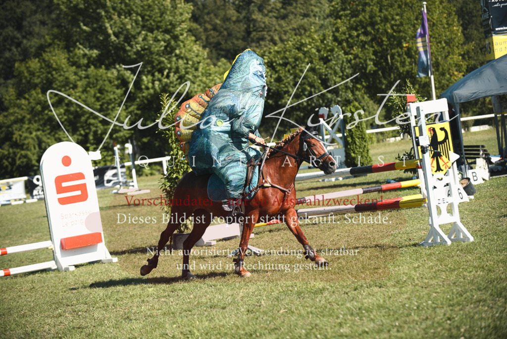 DSC_7655 | Pferde- und Turnierfotografie in Westsachsen. Pferdeportraits, Auftragszeichnungen und intuitive Kunst.