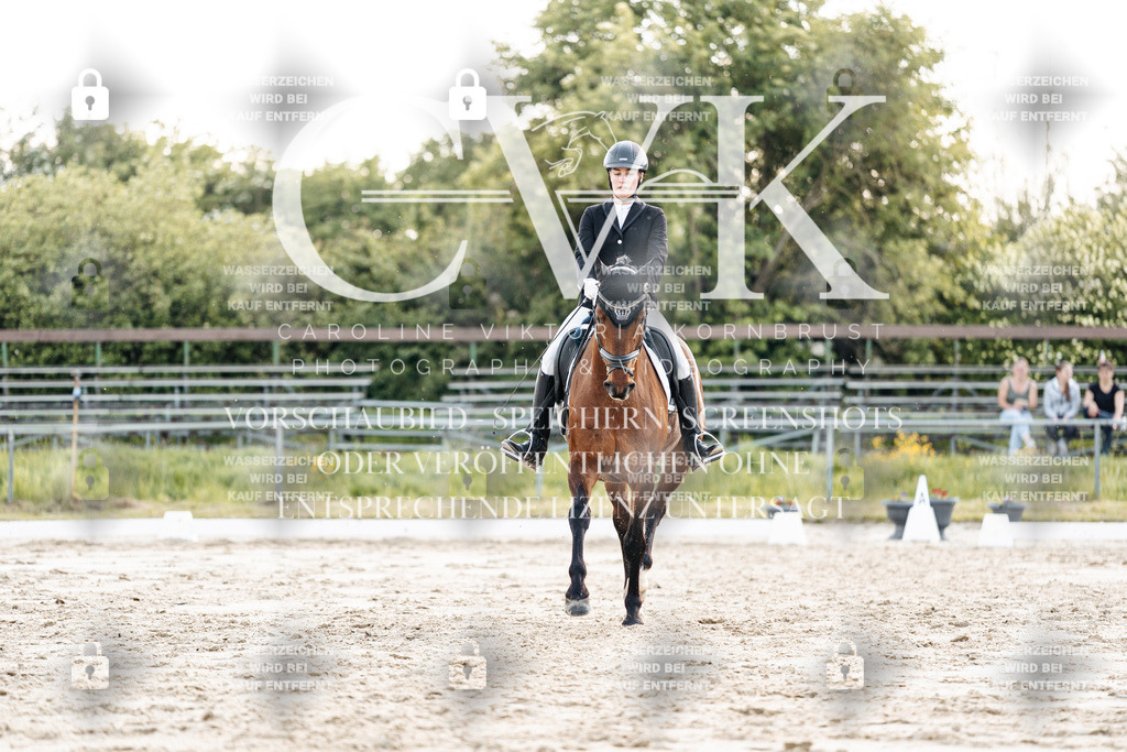 CK909789 | Turnierfotografie Pferdefotografie Trier Rheinland-Pfalz Pferdesport Reitsport Tierfotografie Sportfotografie Pferdevideo Pferdevideografie Equestrianvideography equestrianphotography  - Realisiert mit Pictrs.com