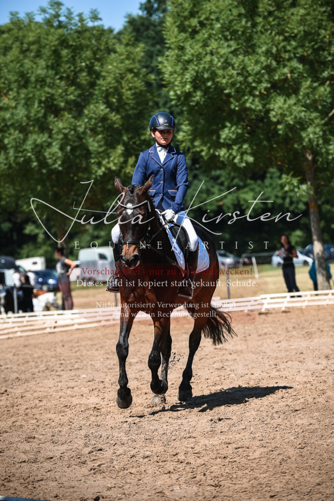DSC_3387 | Pferde- und Turnierfotografie in Westsachsen. Pferdeportraits, Auftragszeichnungen und intuitive Kunst.