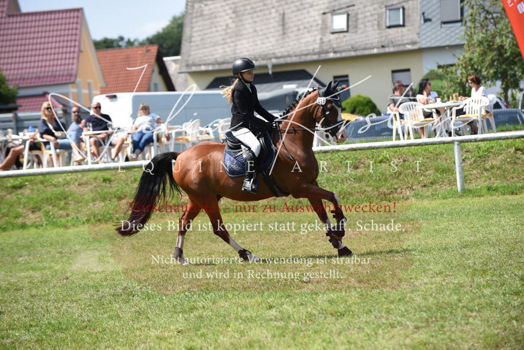 DSC_9992 | Pferde- und Turnierfotografie in Westsachsen. Pferdeportraits, Auftragszeichnungen und intuitive Kunst.