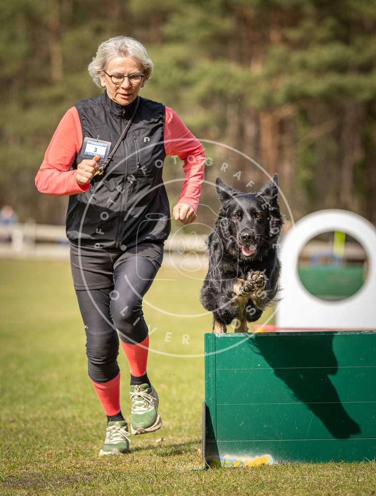 Pfotenfotografie_DV3A0184 | Hundefotografie, Tierfotograf, Pfotenfotografie, Fotoshooting Hund, Hunde Portrait, Hundesport, Hundeportraits, Heideshooting, Hunde, Sportfotograf, Hundefotograf, Turnierhundsport, THS,  - Realisiert mit Pictrs.com