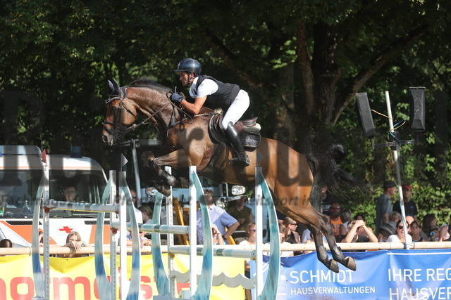 Bietigheim-Bissingen_2024_Prfg.Nr.01_Großer Preis_Mohamad Mogheeth Al Shehab_Saphir Z (3) | Alle Fotos der Reiterjournal Fotografin Doris Matthaes im Reiterjournal Online-Fotoshop. - Realisiert mit Pictrs.com