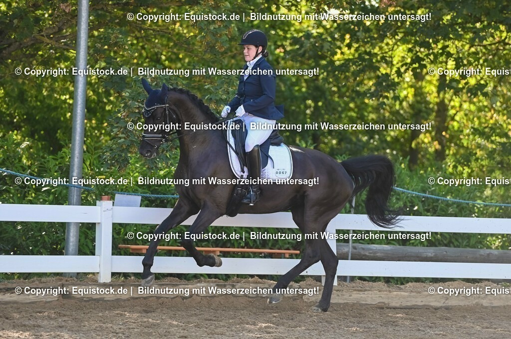 20230715_06_Dressurpferdeprfg. Kl.A_0184 | equistock