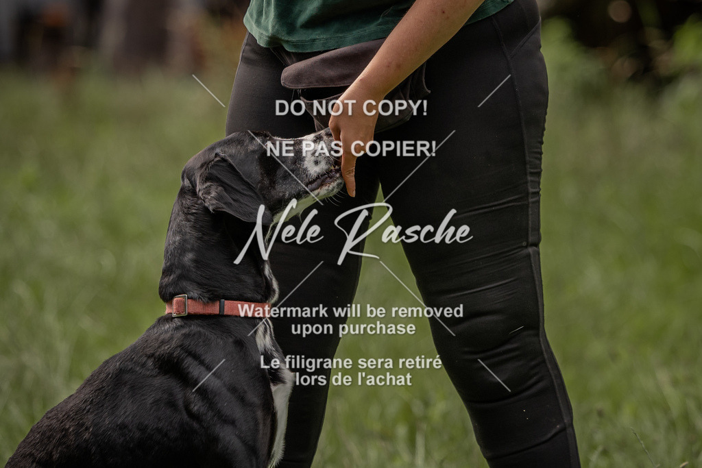 nelerasche_DoN_55 | nelerasche