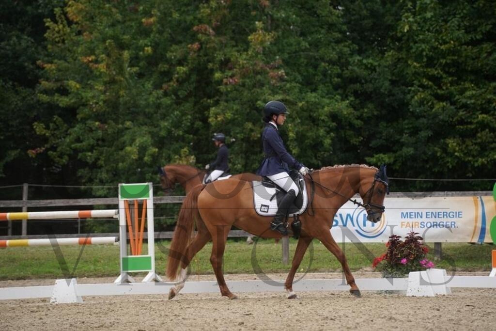 rveinoedsamstag (1072) | d.tail Visions - Shop - Realisiert mit Pictrs.com